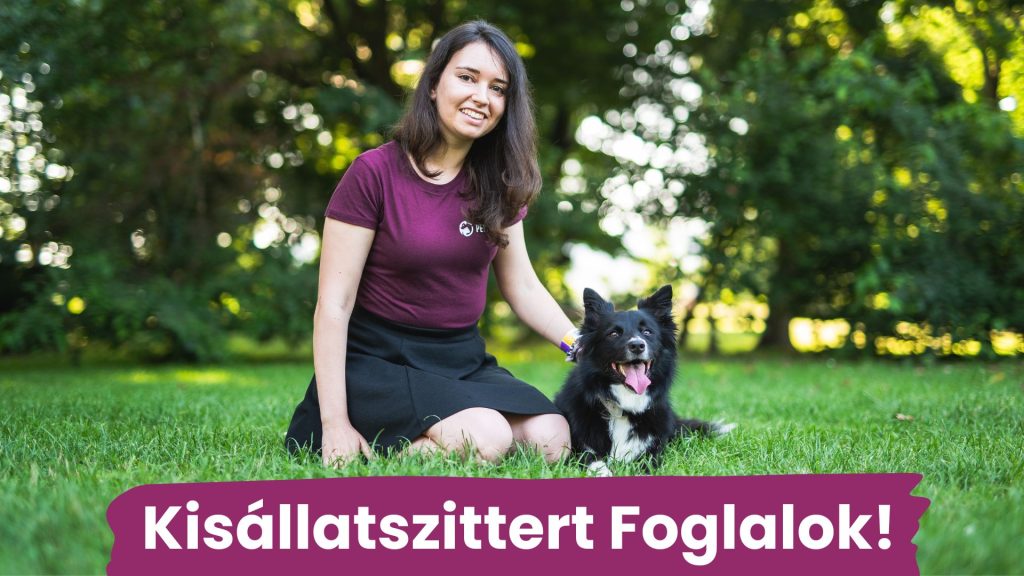 Foglalj kisállatszittert