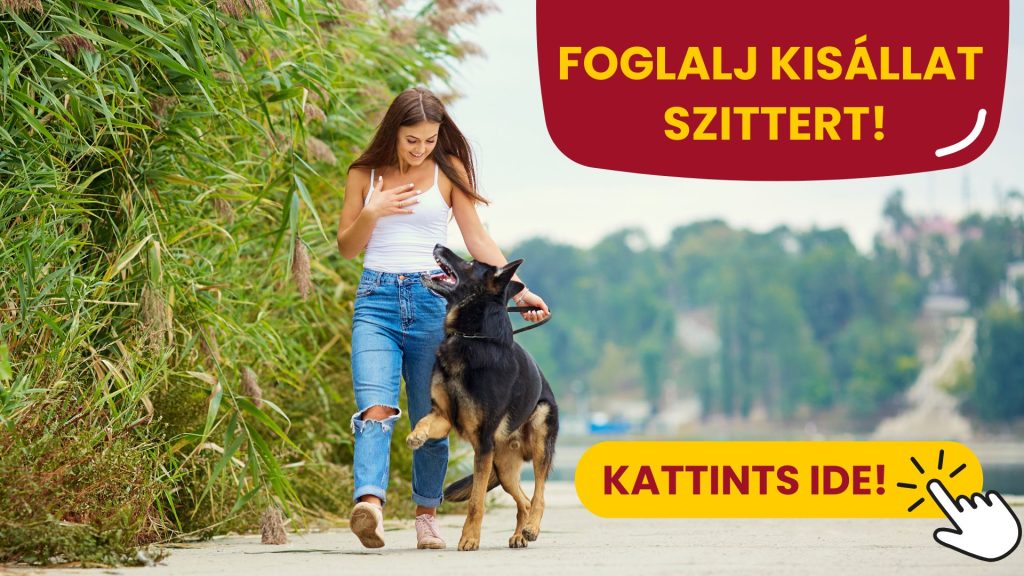 foglalj petwisecare szittert